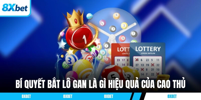 Bí quyết bắt lô gan là gì hiệu quả của cao thủ