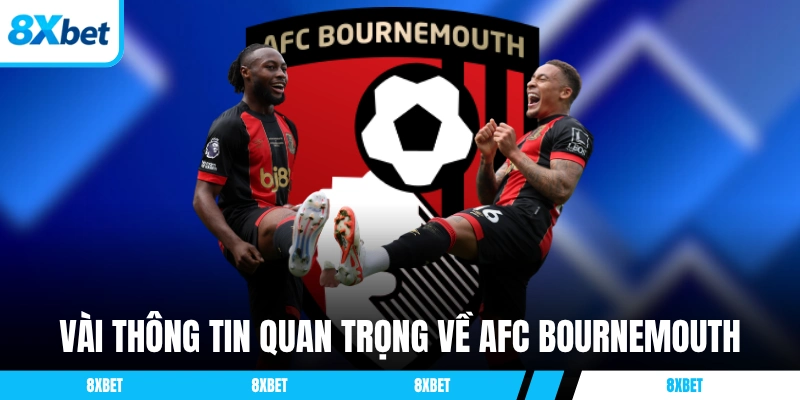 Vài thông tin quan trọng về đội bóng AFC Bournemouth